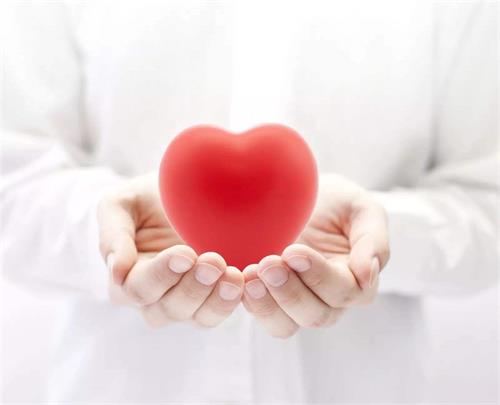 La ricerca mostra che il 5-MTHF può apportare benefici alla salute del cuore: il magnafolato