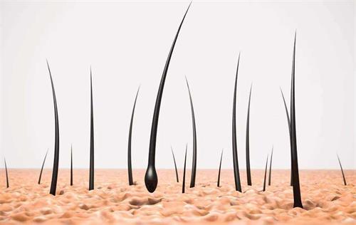 L'acido folico fa bene alla crescita dei capelli? Magnafolato