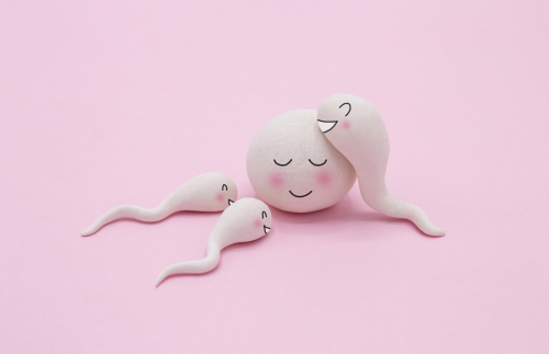 L'acido folico può migliorare la fertilità -Magnafolato