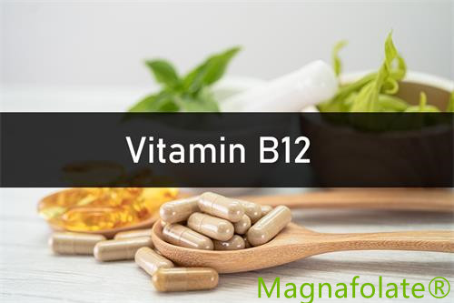 Vitamina B12:Introduzione,Vantaggi,Salute