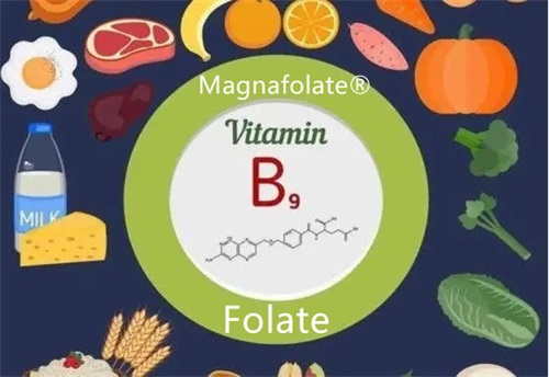 Cos’è l’anemia da carenza di folati?