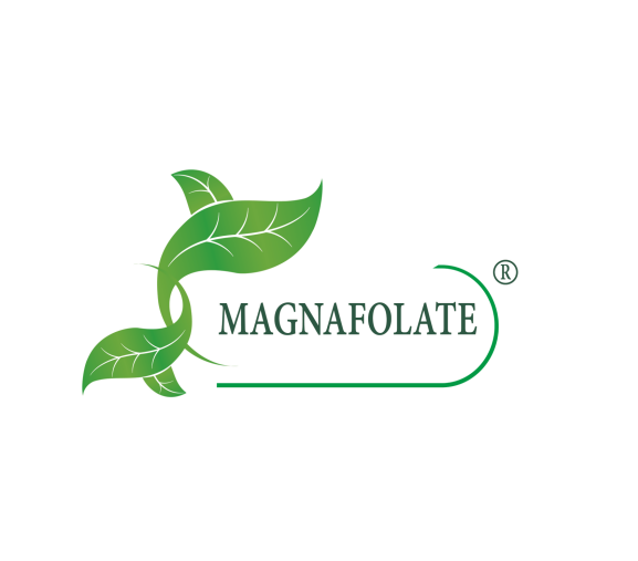 integrazione materna di acido folico e rischio di malattie cardiache congenite