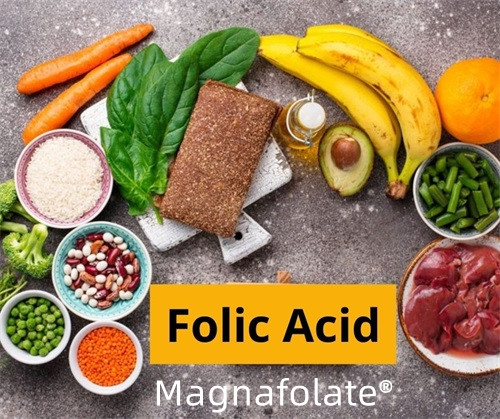 Folato (acido folico): introduzione e funzione
