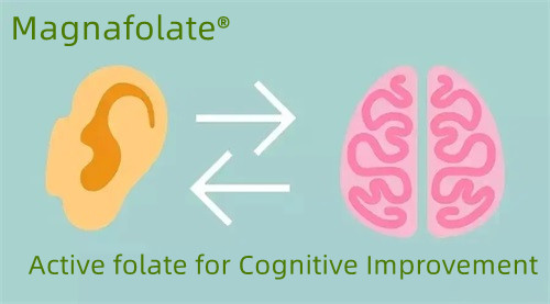 Folato attivo per il miglioramento cognitivo