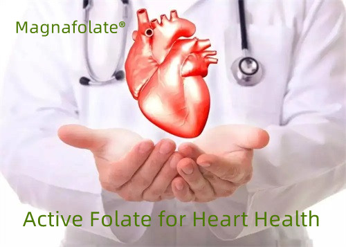 Folato attivo per la salute del cuore