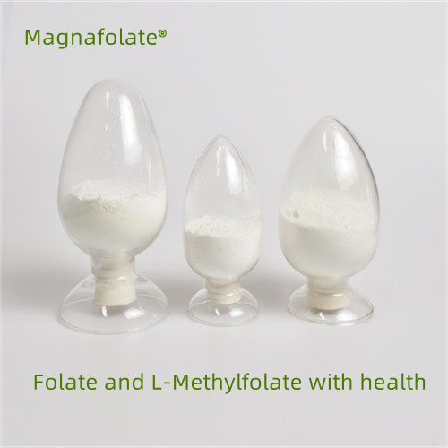 Folato e L-metilfolato con salute
