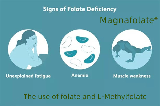 L'uso di folato e L-metilfolato