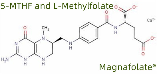 5-MTHF e L-metilfolato