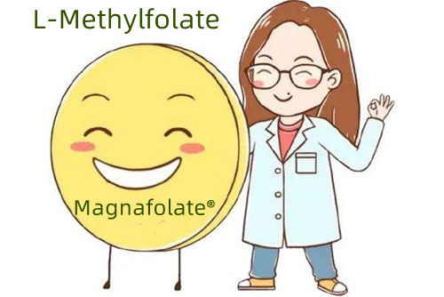 Fonte supplementare di acido folico e L-metilfolato