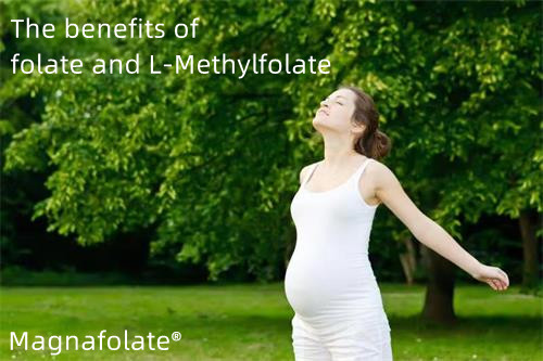 Benefici per la salute del folato e dell'L-metilfolato