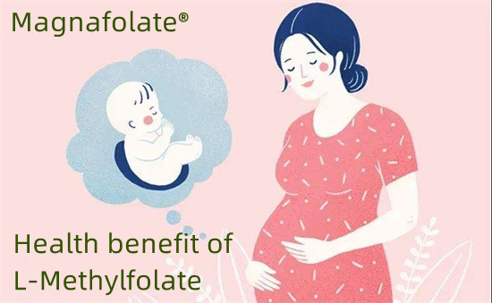 Prevenzione dei difetti del tubo neurale con l-metilfolato