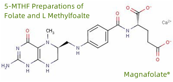 Preparazioni 5-MTHF di folato e L metilfoalte