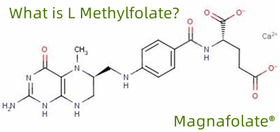 Cos'è l'l-metilfolato?