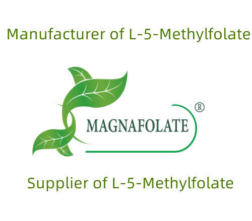 L-metilfolato - Produttori e fornitori globali