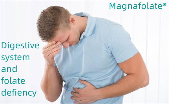 Sistema digestivo e carenza di folati-Magnafolato