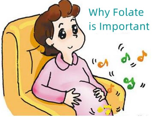 Perché il folato è importante?