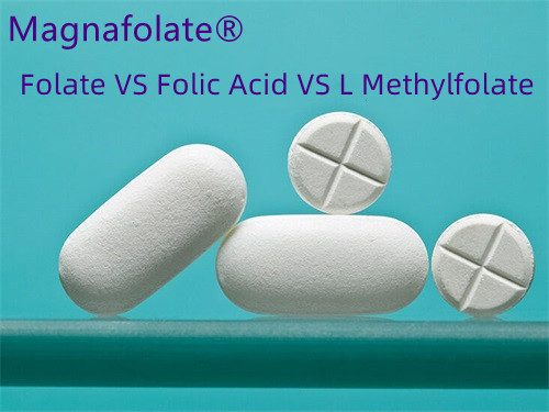 Qual è la differenza tra acido folico e acido folico?