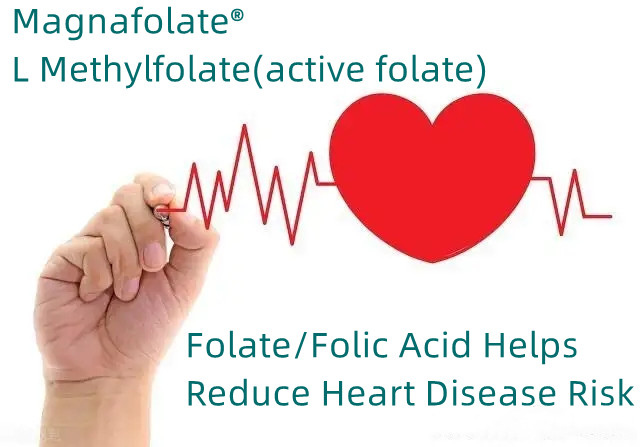 L'acido folato/folico aiuta a ridurre il rischio di malattie cardiache