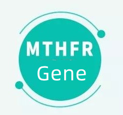 Cosa significa se hai il gene MTHFR?