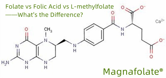 Folato vs acido folico vs L-metilfolato: qual è la differenza