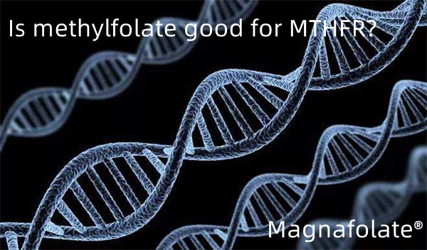 Il metilfolato è buono per MTHFR?