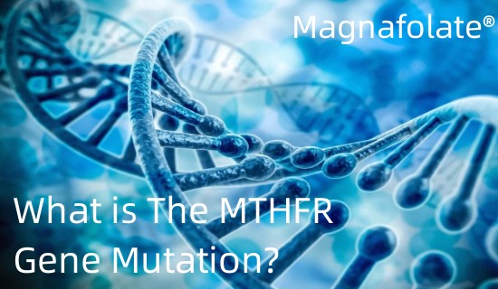 Cos'è la mutazione del gene MTHFR?
