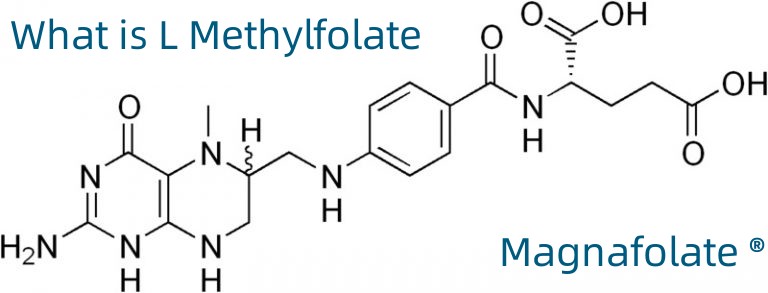 Cos'è l'L-metilfolato?