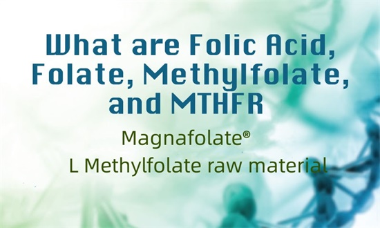 Cosa sono l'acido folico, il folato, il metilfolato e il MTHFR?