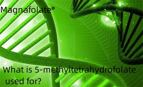 A cosa serve il 5-metiltetraidrofolato?