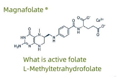 Cos'è il folato attivo e l'L-metiltetraidrofolato