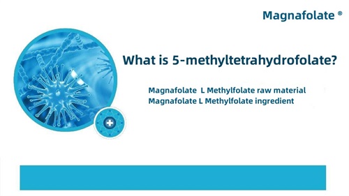 Cos'è il 5-metiltetraidrofolato?