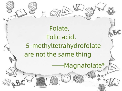 Folato, acido folico e 5-metiltetraidrofolato non sono la stessa cosa