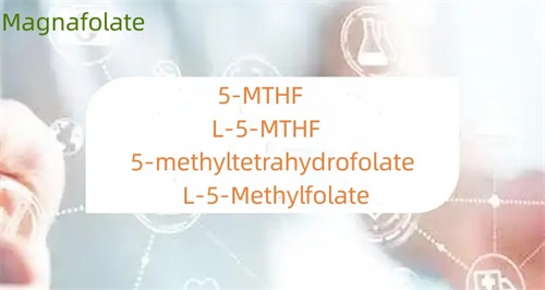 Qual è la differenza tra 5-metiltetraidrofolato e folato