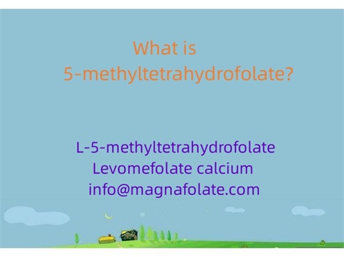 Cos'è il 5-metiltetraidrofolato?
