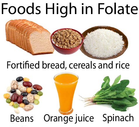 Classificazione dei folati: folati alimentari