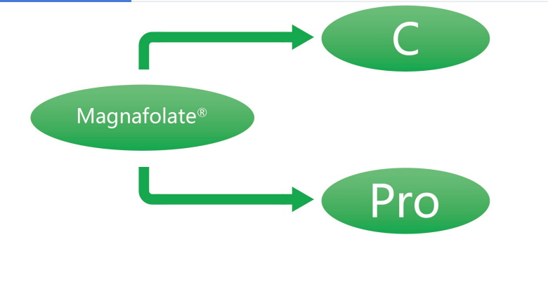 Magnafolato C e Pro—L-metilfolato di calcio