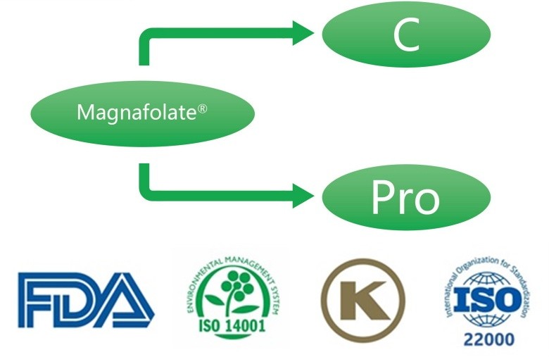 Cos'è il calcio L-5-metiltetraidrofolato? Quali sono i fornitori?