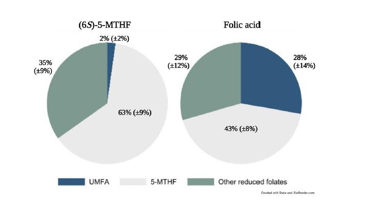 Attenzione! Uno studio pubblicato su Scientific Reports conferma che quando le donne che allattano integrano con acido folico, il 28% del folato nel loro latte è acido folico non metabolizzato inutilizzabile (UMFA), 14 volte superiore rispetto alle madri che assumono la forma bioattiva.